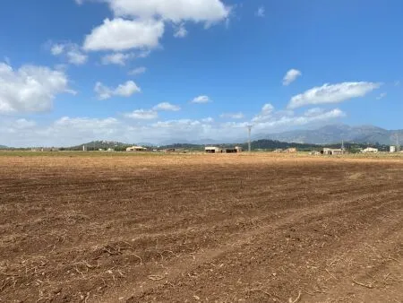 Rural Land - Sa Pobla (Ronda), Plot Surface 17421m², Distance to the Sea 10 km — photo 2