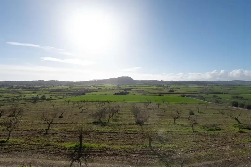 Don't miss the opportunity to visit one of the most outstanding estates in the municipality of Sineu. This property extends over approximately — photo 3