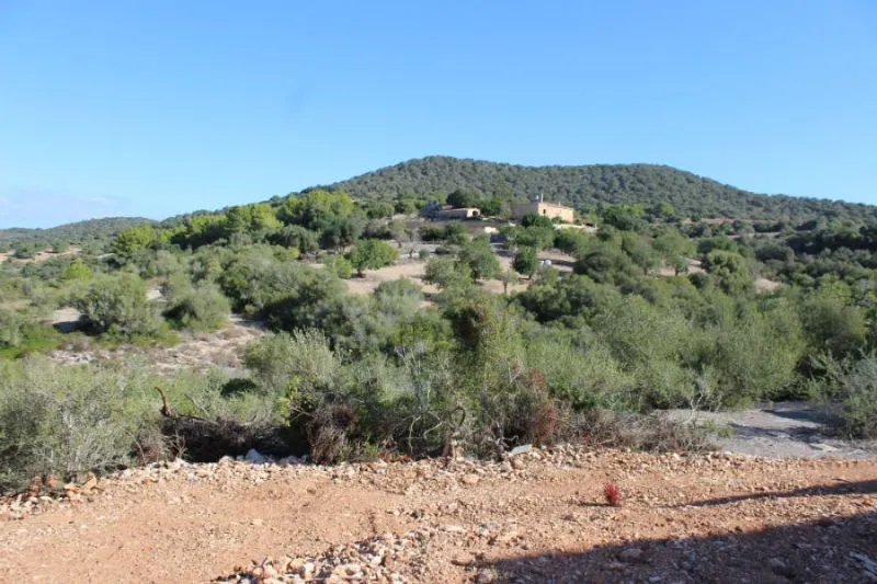 Rustic property for sale in Son Macia — photo 11