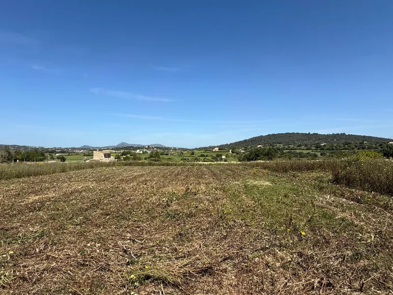Rustic finca with project and building permits — photo 1