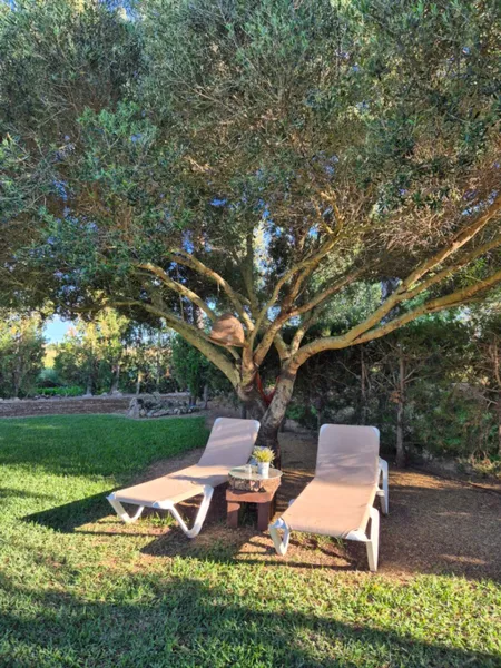 Ecological rustic finca 10 minutes from Playa de Muro — photo 9