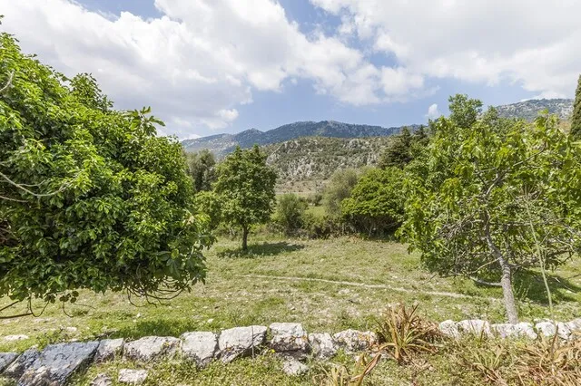Investment oportunity to reform old finca in the Serra de Tramuntana between Alaro and Orient, Mallorca — photo 6
