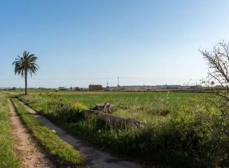 Rural or Farmhouse in Palma de Mallorca, Province of Balearic Islands — photo 3