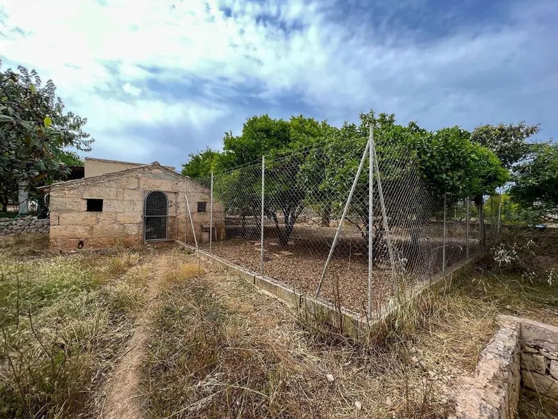 Rural or Farmhouse in Selva, Province of Balearic Islands — photo 11