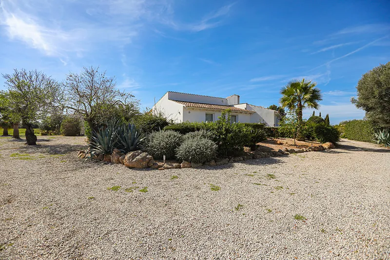 Modern finca with pool and beautiful garden in Llucmajor Mas — photo 12