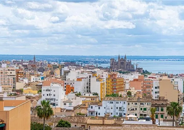 Penthouse for sale in Son Dureta — photo 2