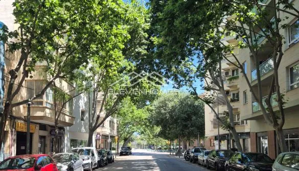 Urban Plot in Palma — photo 1