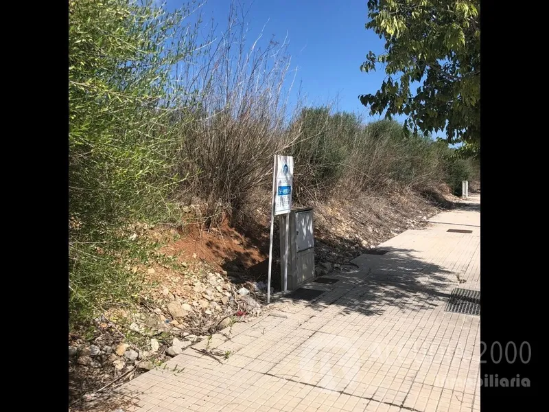Land — photo 7