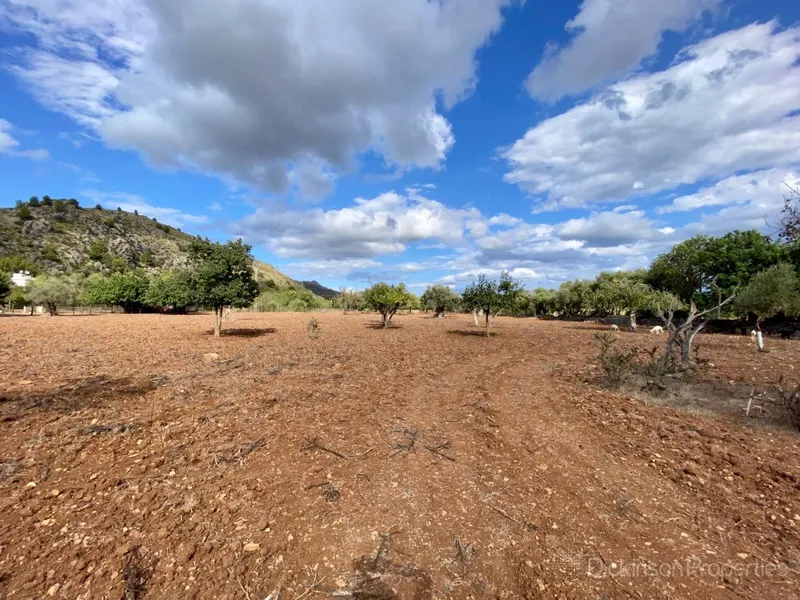 House for sale in Pollença, Mallorca, Baleares, Spain — photo 2