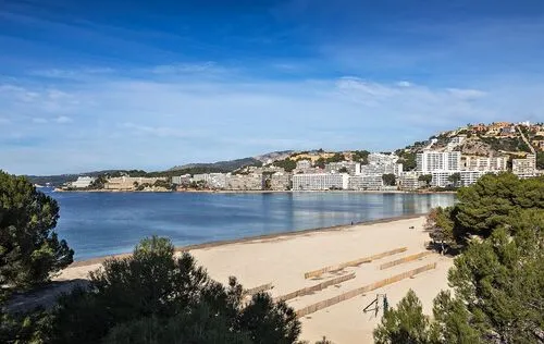 4 Bedrooms in Santa Ponsa — photo 4