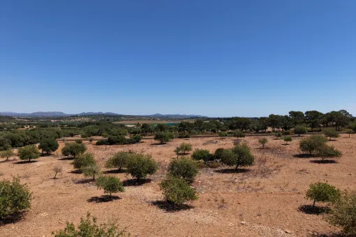 Cala Mandia, Beautiful Plot with Stunning Panoramic Views and Project near Cala Mandia — photo 8