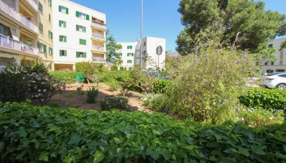 Apartment in Palma — photo 1