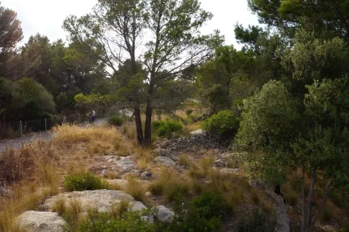 Plot for sale in Valldemossa — photo 10