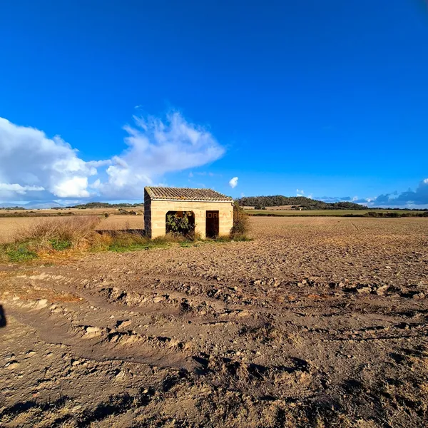 Buildable rustic plot for sale in Montuïri — photo 12