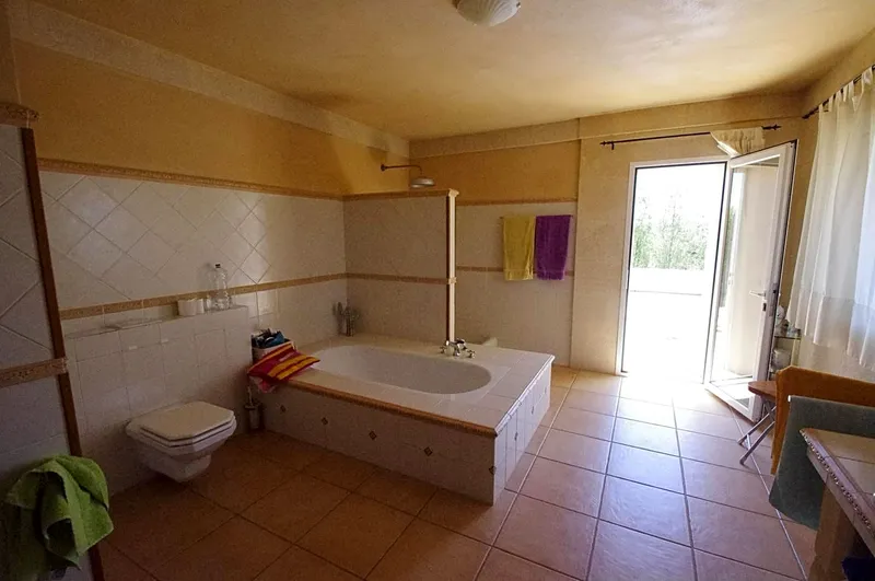 Rustic house with pool + guest house — photo 10