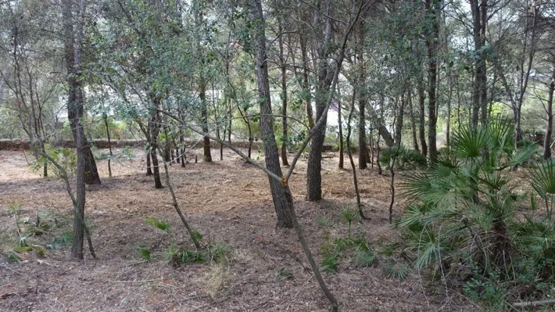 Cala Sant Vicenç quiet location plot for sale — photo 11