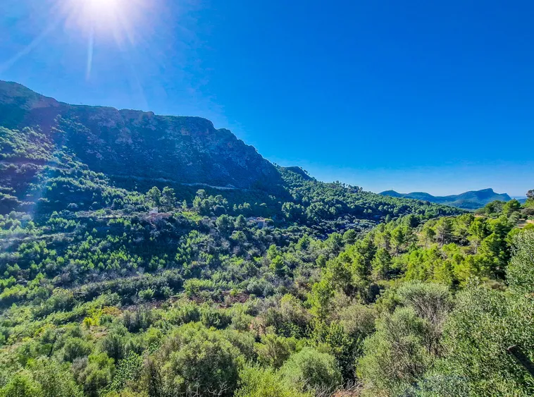 Ref.2262C – Andratx – Rustical Finca with spectacular views — photo 3
