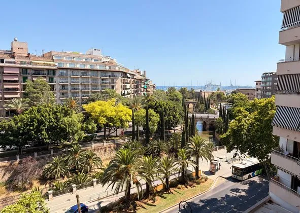 Flat / apartment in Paseo de Mallorca, 9 b, Camp d'En Serralta, Palma de Mallorca — photo 2