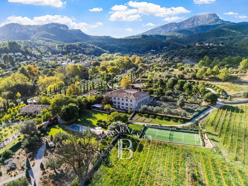 Prestigious Finca with Private Spa, Vineyards, and Panoramic Views in Puigpunyent — photo 1