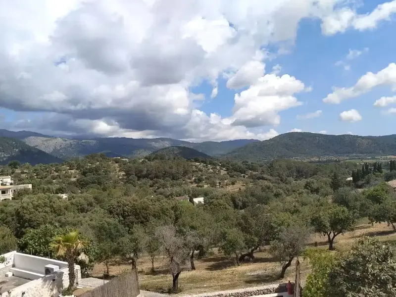Village house in Campanet, Mallorca — photo 2