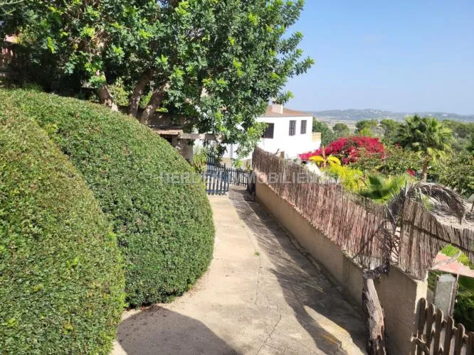 Fantastic finca property with ETV rental licence in Montuiri — photo 5