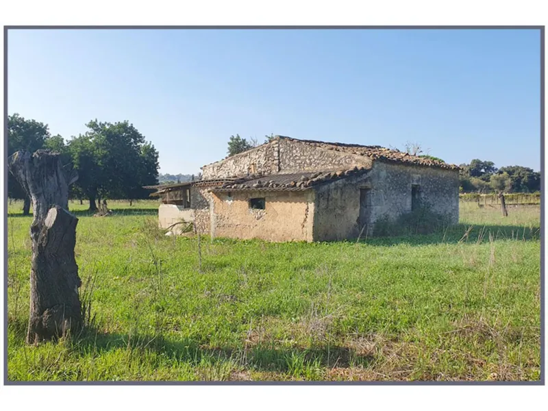 Country houses — photo 12