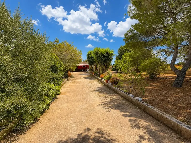Rustic finca with small house and large plot in Santa Eugènia — photo 4
