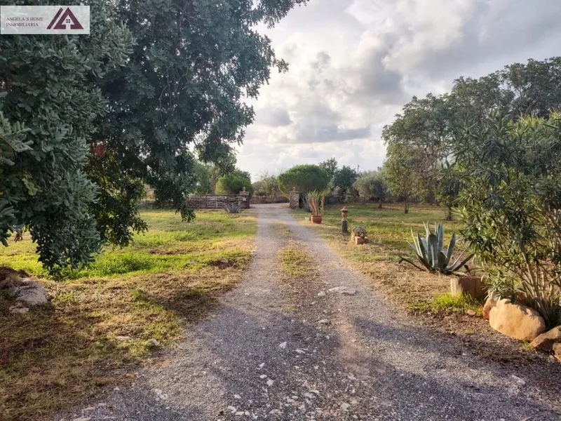 Country house for rent in Santanyi — photo 6