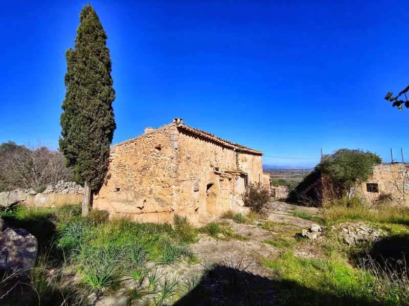 Rural or Farmhouse in Santa Eugènia, Province of Balearic Islands — photo 4