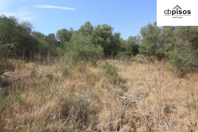 Rural Land - Petra, Built Surface 622m², Plot Surface 3551m² — photo 2