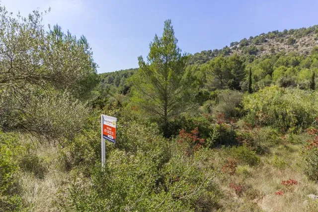 Large country plot for sale near the town of Pollensa, Mallorca — photo 3