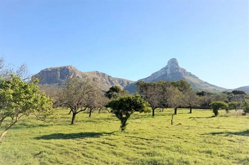 Rural or Farmhouse in Colònia de Sant Pere, Province of Balearic Islands — photo 1