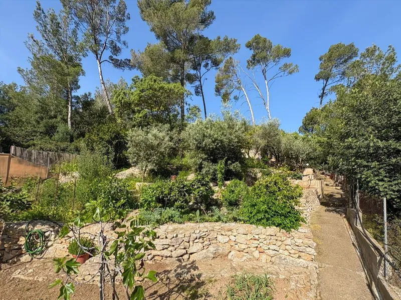Luxury home in Andratx, Province of Balearic Islands — photo 3