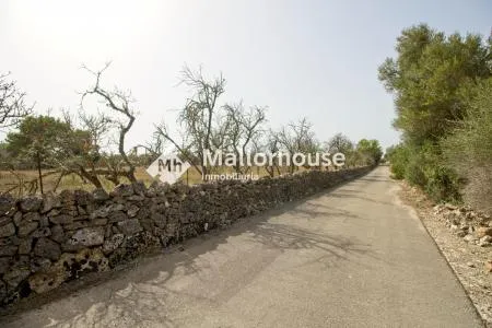 Rural Land - Santa Margalida, Plot Surface 14310 m², Distance to the Sea 6 km — photo 8