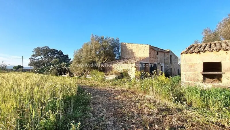Finca to renovate in quiet area between Santanyí and Campos — photo 4