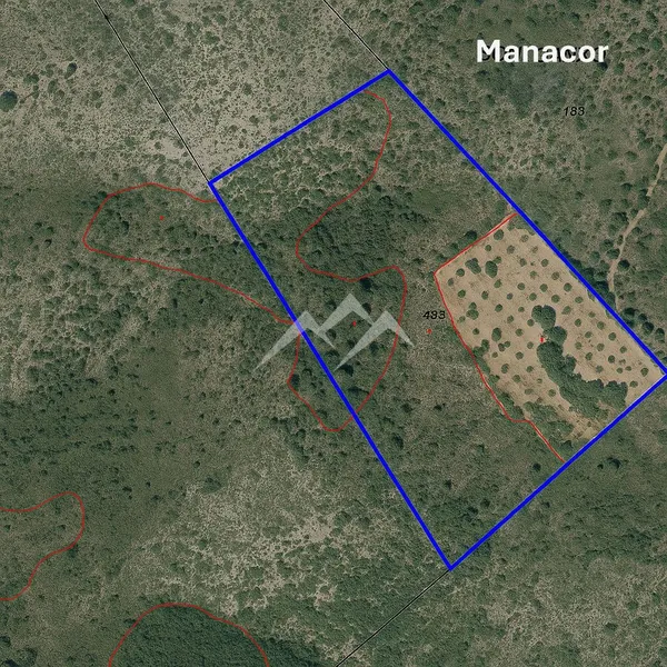 57,000 m2 plot with house project with pool in Manacor — photo 9