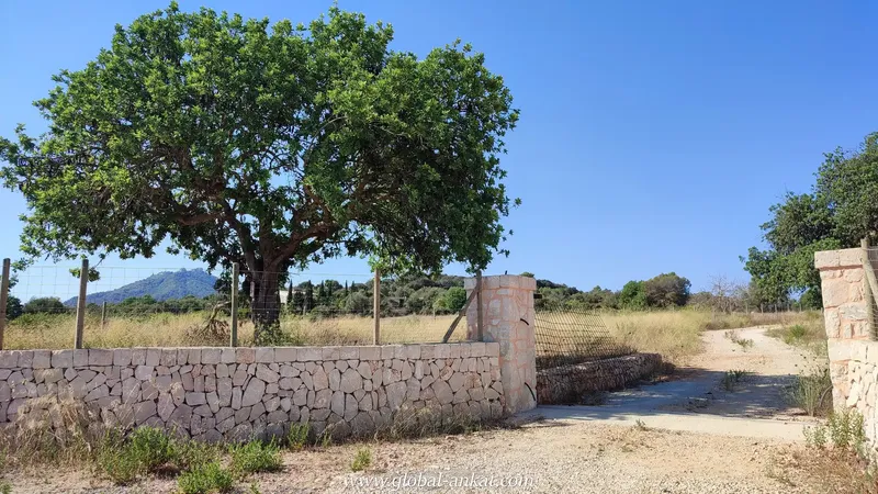Rustic finca to be built, located in the area of Es Pujol de Son Prohens. It has a plot of about 17,265 m2 fully — photo 9