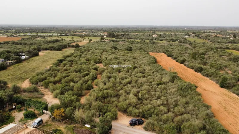 Plot in Campos — photo 5