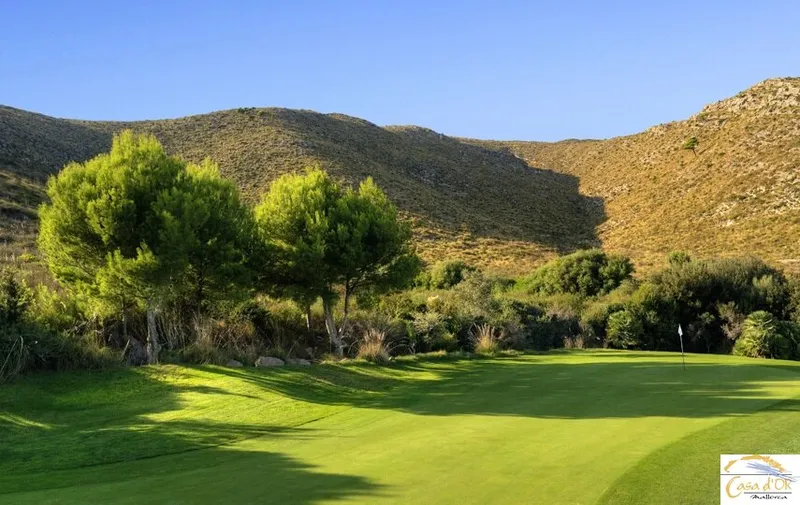 Exclusive natural finca with spectacular mountain panorama and unique building potential near Sant Llorenç des Cardassar — photo 5