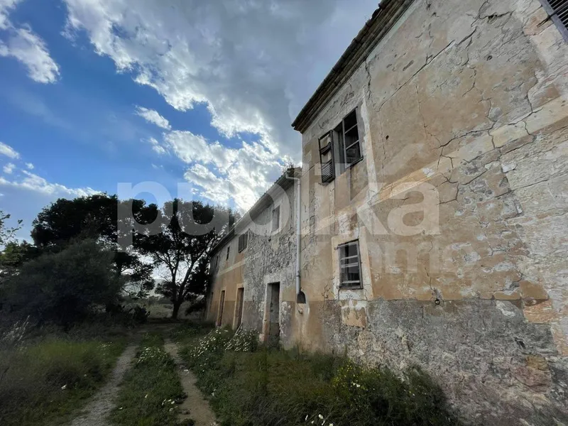 Rural or Farmhouse in Manacor, Province of Balearic Islands — photo 10