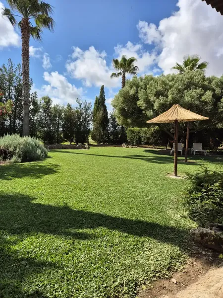 Charming rustic house for rent with garden, terraces and land in the north of Mallorca, available from September 1, 2026 — photo 5