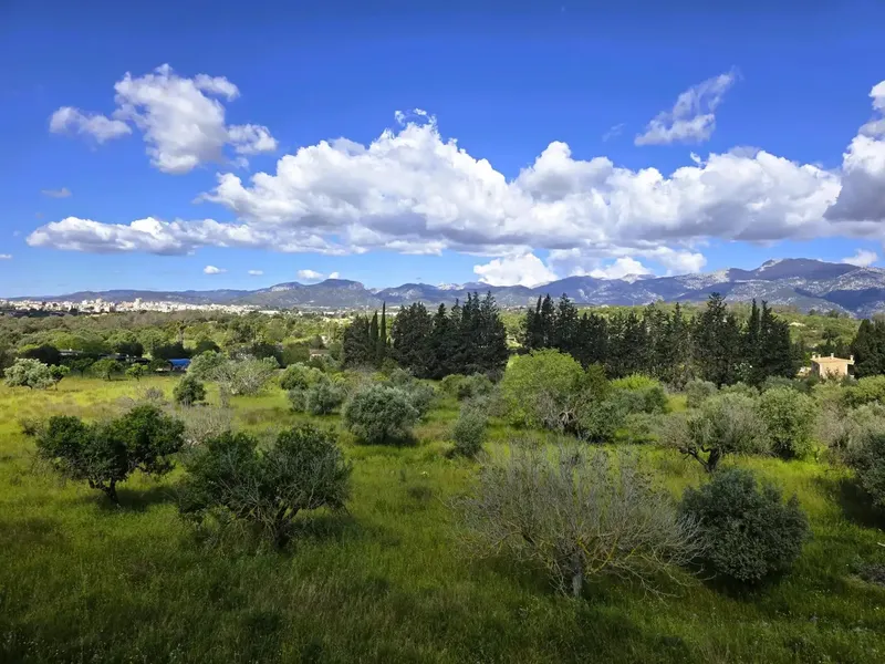 Coco Inmobiliaria Offers — photo 3