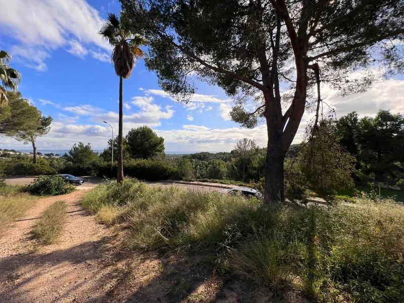 Seaview Plot with Project Overlooking Bendinat Castle — photo 7