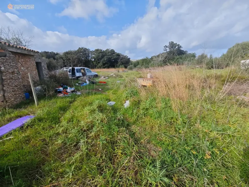 Unique opportunity in the Capdepera area: rustic estate with over 8,000 m2 of land in a natural, quiet and totally private setting — photo 4