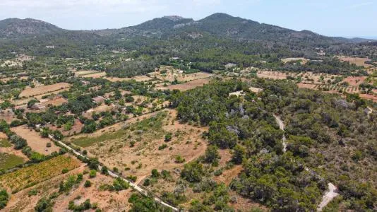 Urbanizable land - Felanitx (Cas Concos) — photo 10