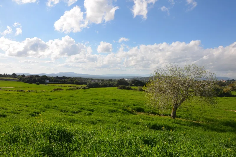 Large building plot with open views near Felanitx at Puig de Sant Salvador — photo 3