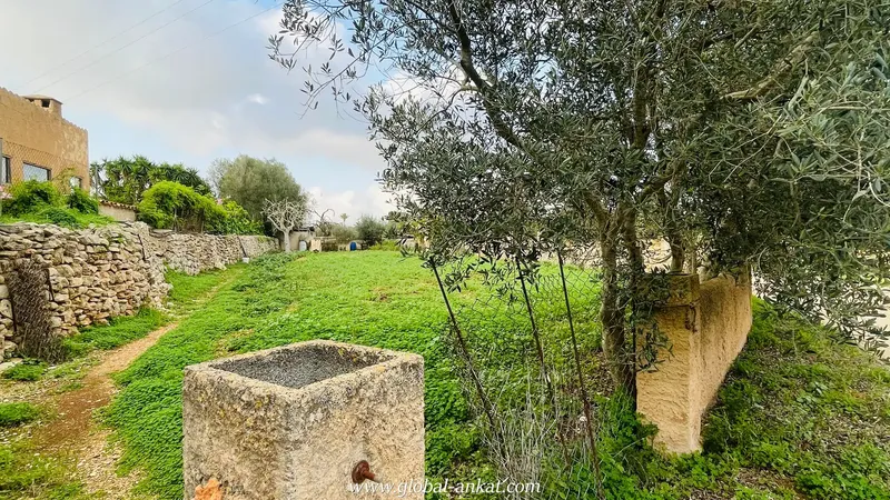 Immerse yourself in the authenticity of Mallorca in this charming estate, located in the picturesque village of Cas Concos. With an area of 16.9 — photo 11