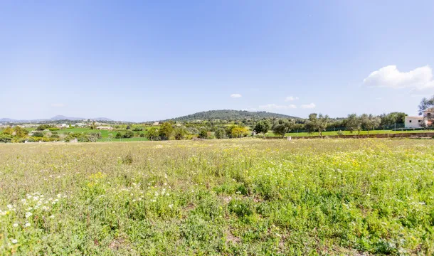 Building plot with license and fantastic views in Manacor — photo 3