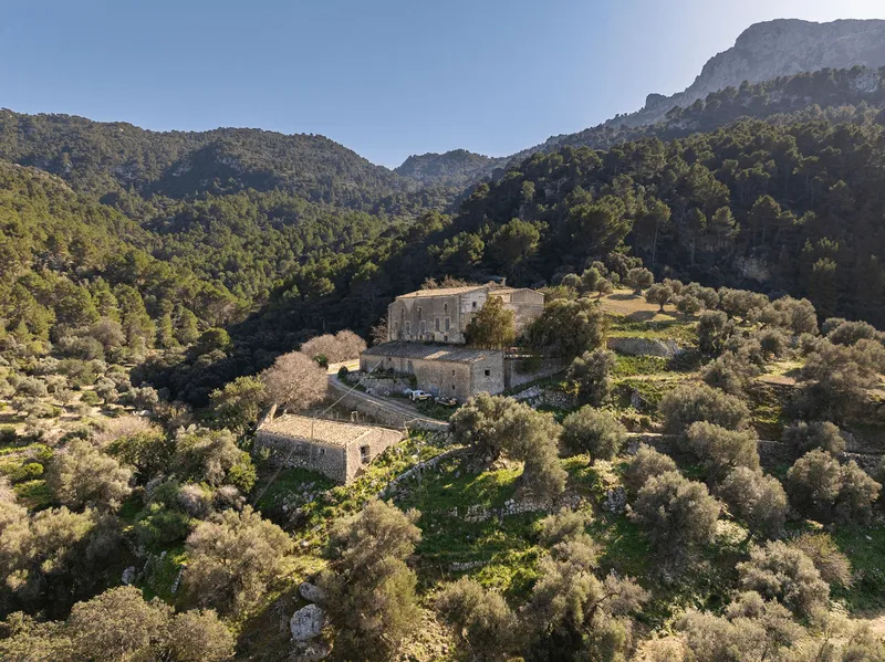Historic Estate - Finca de sa Fortuny in Estellencs — photo 10