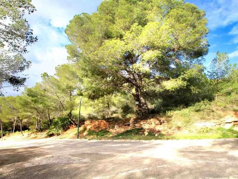 Land in Cala Vinyes, Mallorca — photo 5
